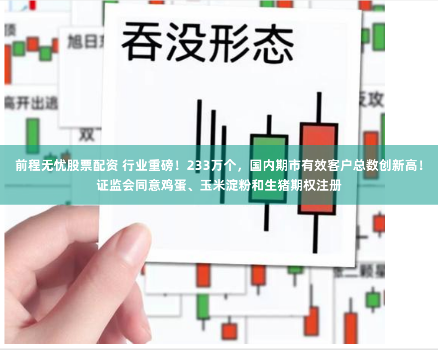 前程无忧股票配资 行业重磅！233万个，国内期市有效客户总数创新高！证监会同意鸡蛋、玉米淀粉和生猪期权注册