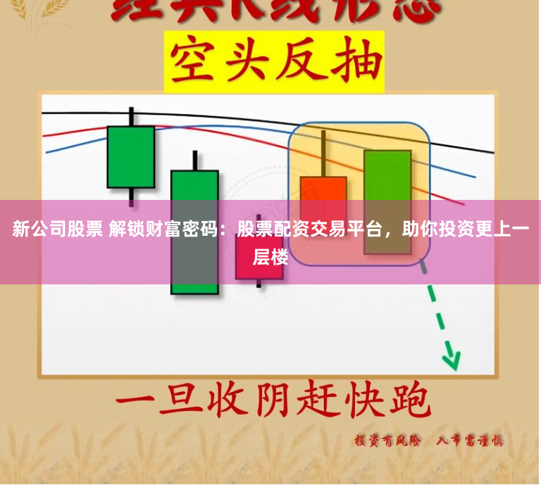 新公司股票 解锁财富密码：股票配资交易平台，助你投资更上一层楼